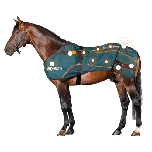 Qué zonas del caballo trata la manta del BEMER: guía completa