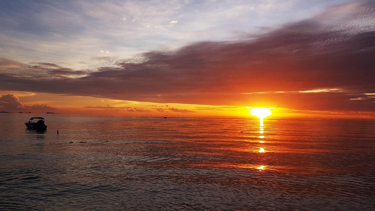 Microcirculación y energía mental: cómo influye en el rendimiento cognitivo, la claridad mental y la oxigenación cerebral