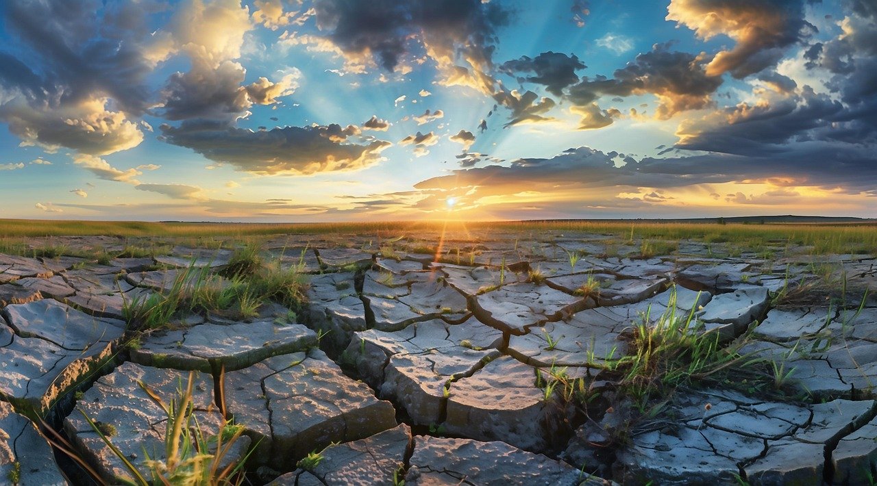 Microcirculación y regeneración tisular: factores clave