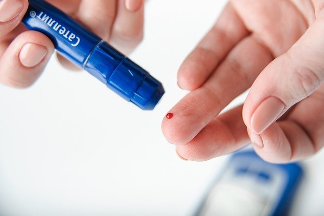 Diabetes Mellitus Canina y Microangiopatía: Daño Capila