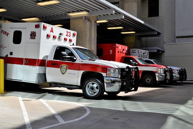 Insuficiencia Cardíaca Congestiva en el Perro: Edema Capilar y Tratamiento Microvascular