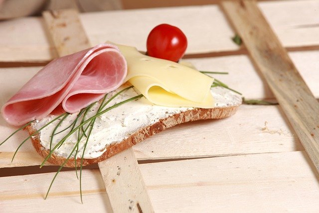 Nutrición y Microcirculación Canina: Dieta, Antioxidantes y Salud Vascular