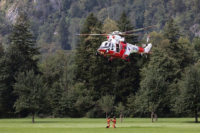 Trauma y Resiliencia Vascular en Perros de Rescate