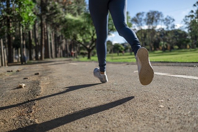 Enfermedades frecuentes dálmata: guía de salud y prevención