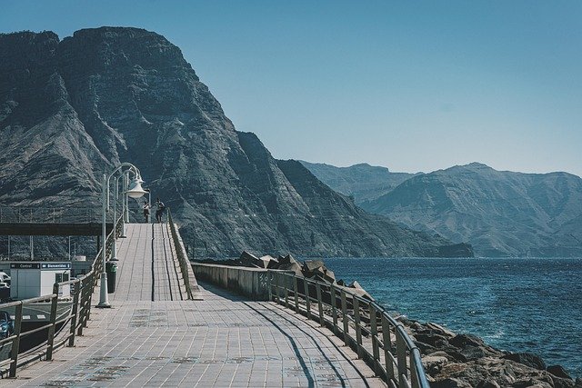 Presa Canaria Precio 2024: Rango €1.200‑€1.800, Requisitos de Salud, Impacto de la Microcirculación y Cuidados para Propietarios